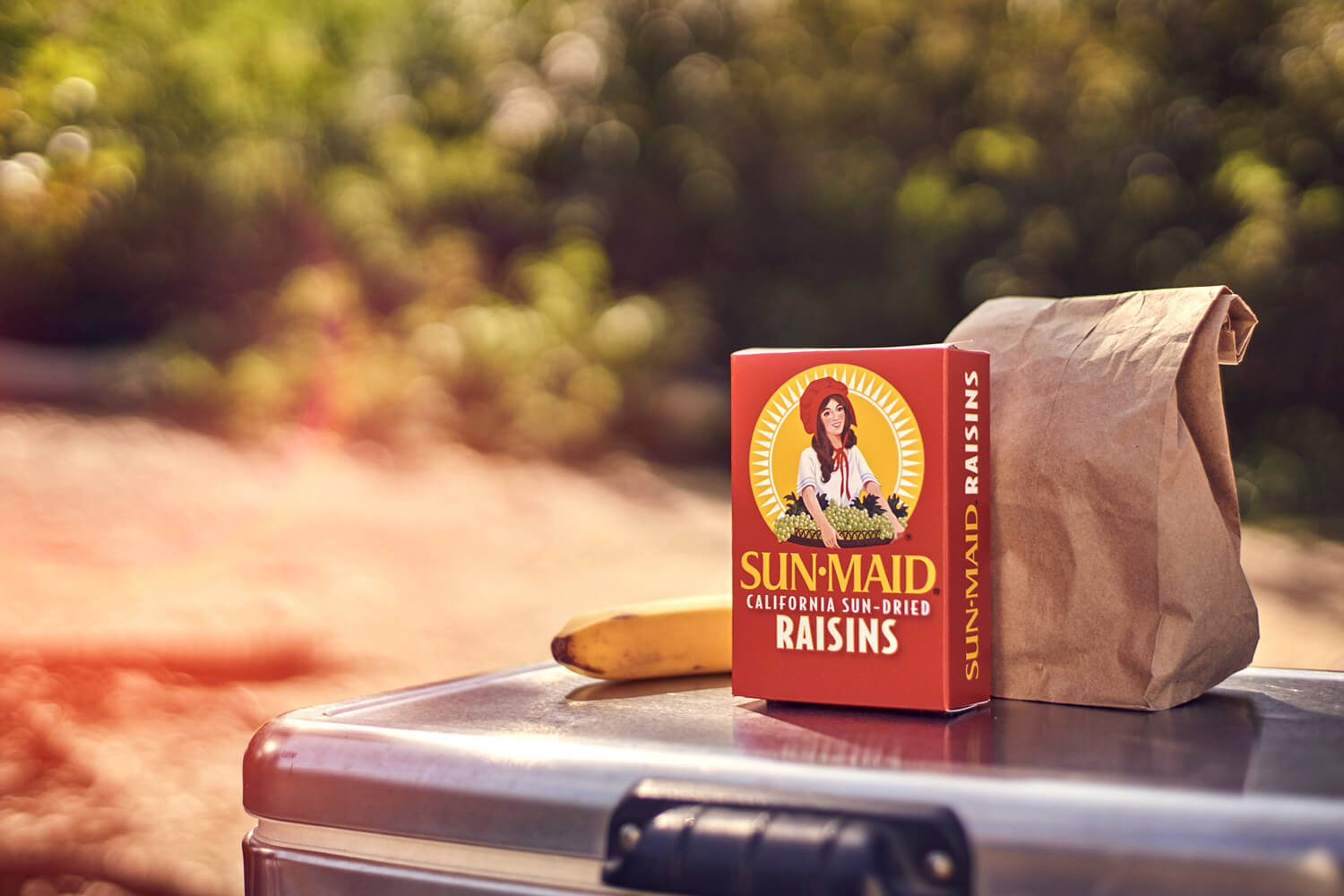 A box of Sun-Maid raisins beside a brown-bag lunch